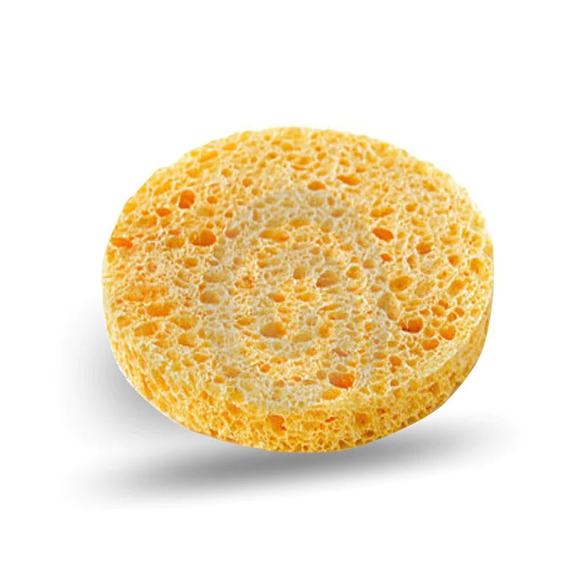 Facial Sponge Large